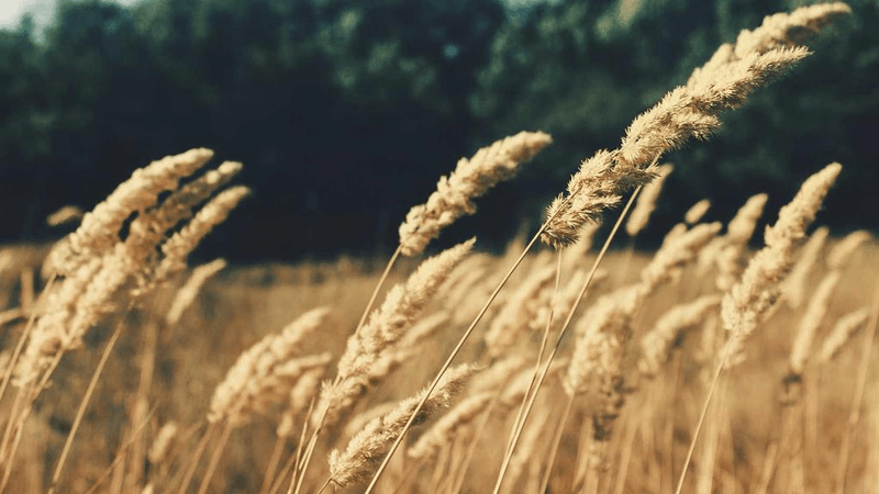 Coding - professional stock photography