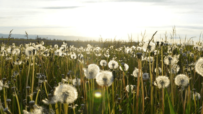 Database - professional stock photography